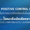เตรียม positive control DNA สำหรับการตรวจวินิจฉัยระดับโมเลกุล
